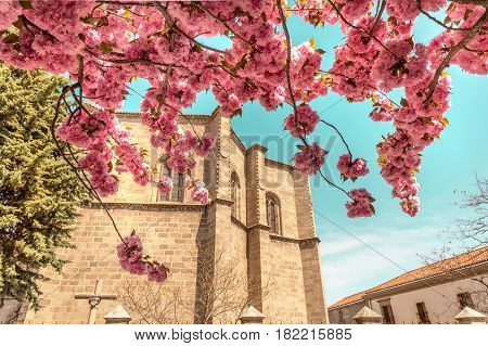 A view over capilla de Mosen Rubi, a historic building in Avila, Spain, seen through the branches of a blooming tree