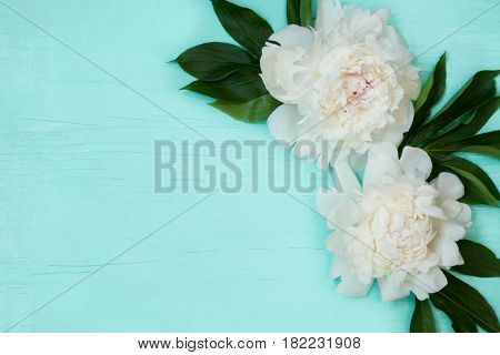 Decorative card with white peonies flowers lying on turquoise wood texture. Beautiful Horizontal background With Copy Space for invitation congratulation. Top view Flat lay