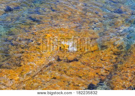 Colorful natural texture with blue sea and yellow rocks close up view