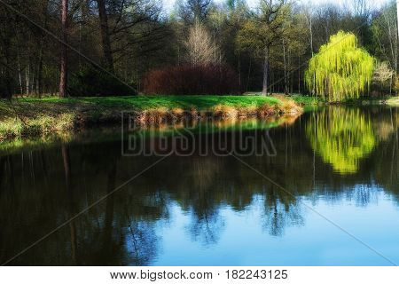 spring scene in the park reflection in watrer