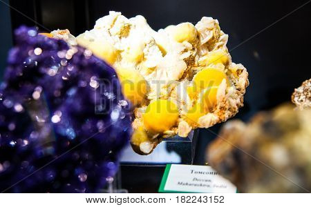 various stones and minerals at the exhibition
