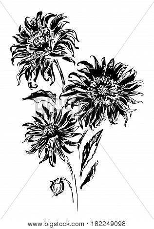 Vector illustration with three black flowers on white background. Can be used for fabric cloth printing wrapping paper wallpaper