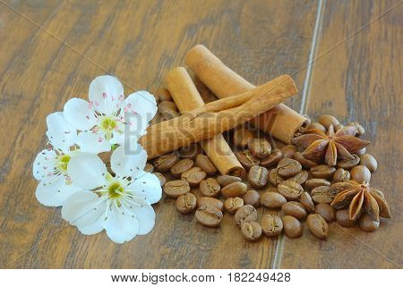 Spring flower coffee beans anise and cinnamon. Roasted aromatic coffee dring ingredients. Aroma drink closeup.