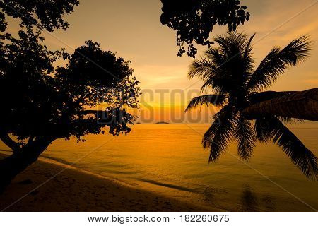 Tropical Landscape Of Koh Chang