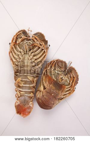 slipper lobster on the white background