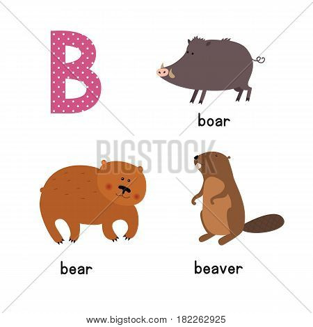 Cute zoo alphabet in vector.B letter. Funny cartoon animals: Bear, Beaver, boar. Alphabet design in a colorful style. - stock vector