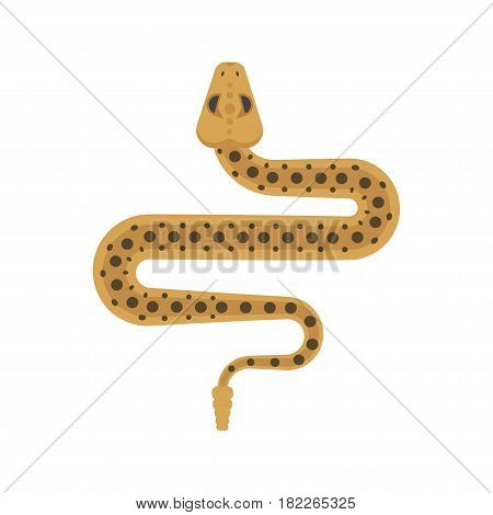 Vector flat style illustration of sidewinder snake. Icon for web. Isolated on white background.