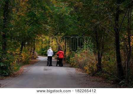 Walking young mothers in the park in autumn
