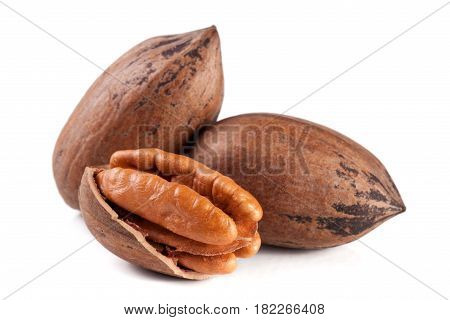 Three pecan nuts isolated on white background.
