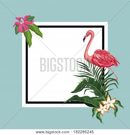 flamingo exotic tropical card template vector illustration eps 10