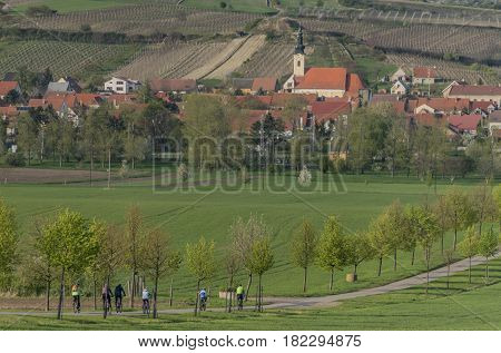 Palava area in spring sunny day between Popice and Dolni Vestonice villages