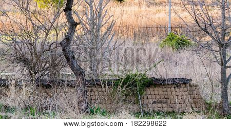 Mud brick wall with black tile roof fallen into state of disrepair in wooded area South Korea
