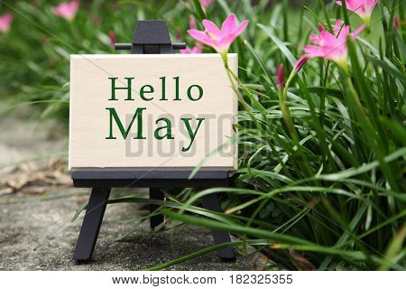 mini wooden board with text hello may in a garden with flower blossom