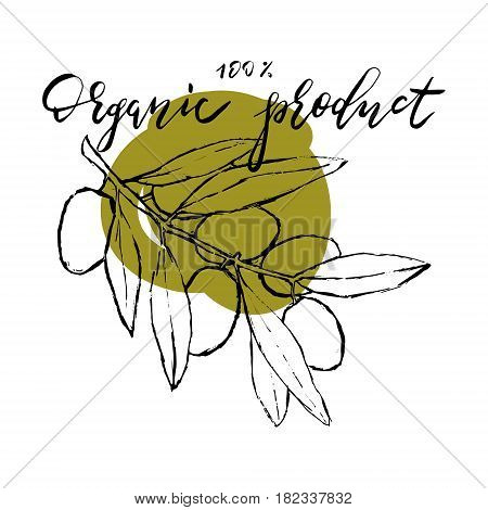 Set of hand drawn vector illustration and lettering olive oil olive branch and bottle for olive oil labels restaurant natural products. perfect stickers and badges for your business