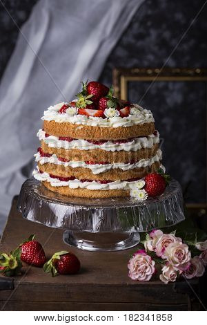 Angel Food Cake With Fresh Berries