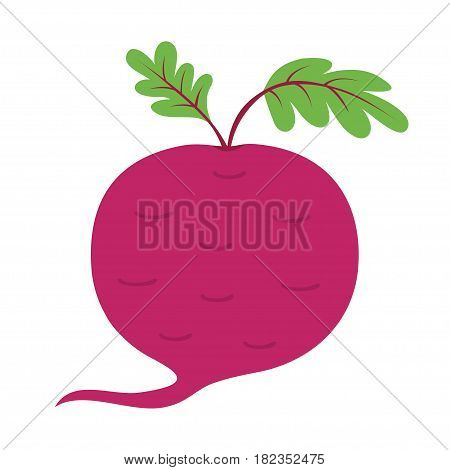 Beet with leaves icon. Red beetroot. Vegetable collection. Fresh farm healthy food. Education card for kids. Flat design. White background. Isolated. Vector illustration