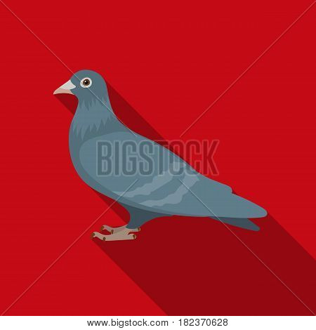 Pigeon icon in flate style isolated on white background. Bird symbol vector illustration.