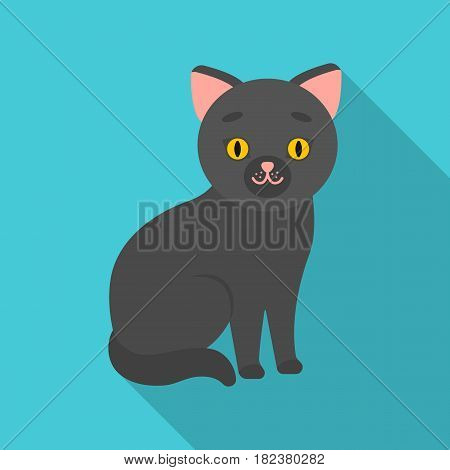 Cat icon in flate style isolated on white background. Cat symbol vector illustration.