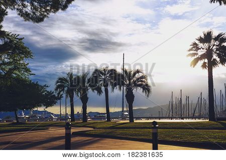The Port Canto Harbour And Garden In Cannes's City Centre