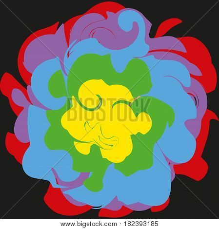 flower on a black background with multicolored petals