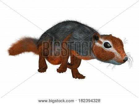 3D Rendering Red Bush Squirrel On White