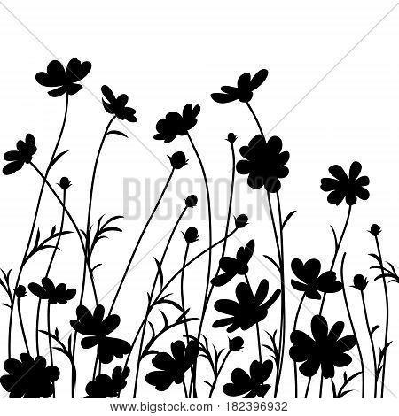 Dcorative floral background with cosmos flower silhouettes