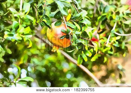 Colorful painting of pomegranate fruits on tree in autumn garden, Cyprus