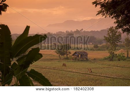 Thailand Lampang Jaesorn Landscape