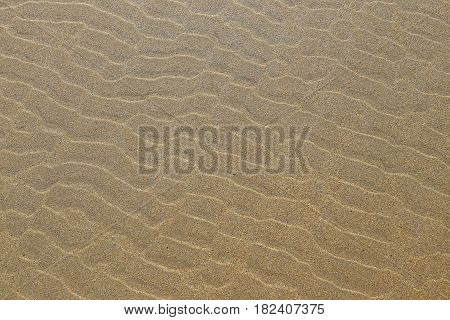 Ripple marks on a sandy beach in Brittany France