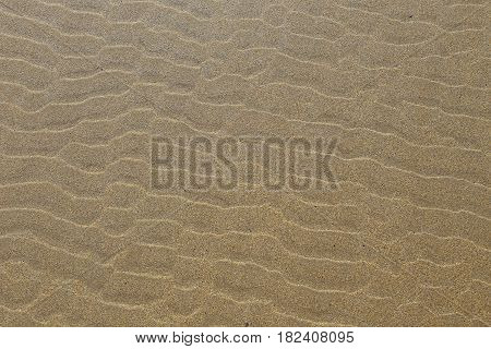 Ripple marks on a sandy beach in Brittany France