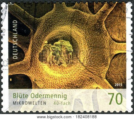 GERMANY - CIRCA 2015: A stamp printed in Germany shows a flower Agrimonia eupatoria circa 2015