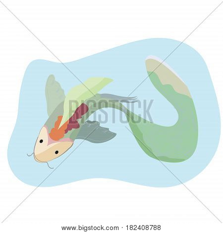 Chinese japanese koi fish red carp water animal isolated on white background vector illustration