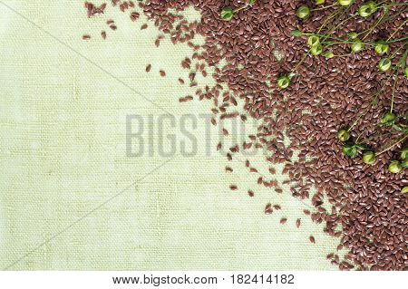 background of dry flax plant capsules and seeds on napkin.