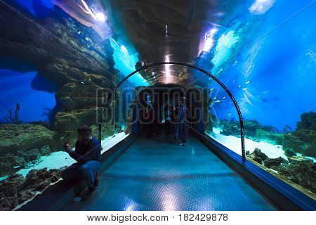 Moscow, Russia - April 16, 2017: Moskvarium Oceanography and Marine Biology Center at Moscow's VDNKh Exhibition Center. Oceanarium tunnel, closeup. Man takes a photo of fish.