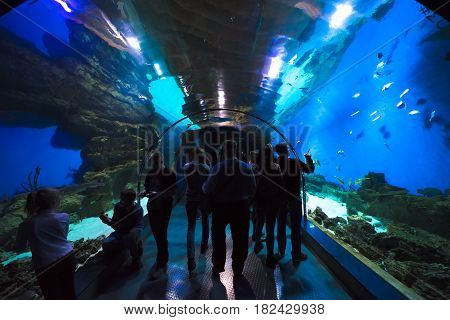 Moscow, Russia - April 16, 2017: Moskvarium Oceanography and Marine Biology Center at Moscow's VDNKh Exhibition Center. Oceanarium tunnel, closeup. People walk along the tunnel in the oceanarium