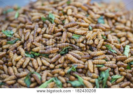 Thailand Lampang City Food Insects