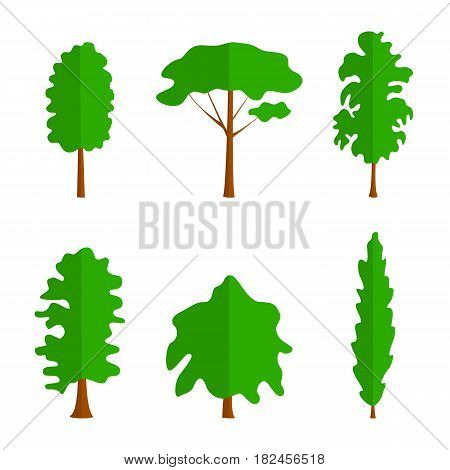 Vector flat trees on white background. Logo design illustration