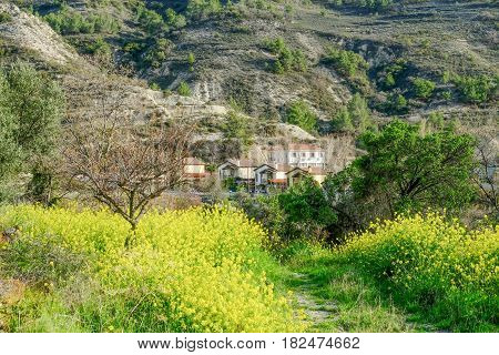 Troodos village and farmland taken in spring on a bright afternoon.