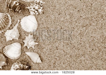 Conchas
