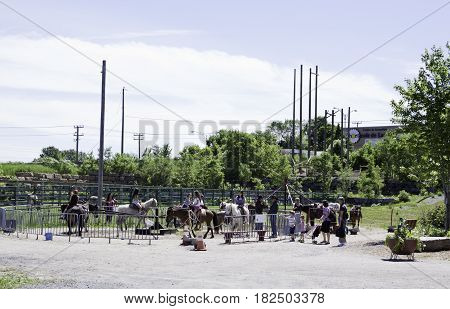 Laval, Quebec - June 14, 2015 - Wide view of happy children riding on the live Pony Ride in the Nature Park, Laval, Quebec on a sunny day in June.