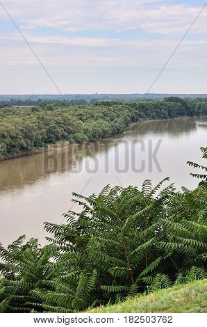 beautiful summer landscape in south of Russia
