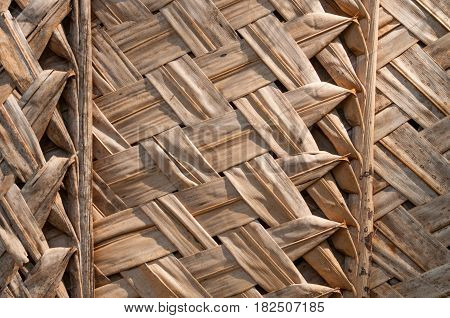 Primitive thatch of palm leaves in hot countries, twiggen wall or ceiling