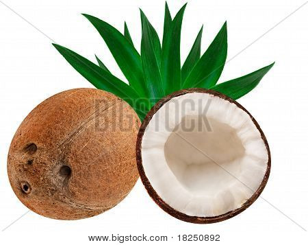 Kokos