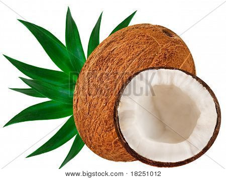 Kokos