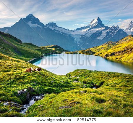 Wetterhorn and Wellhorn peaks over Bachsee lake. Colorful summer scene in Bernese Oberland Alps Grindelwald location Innertkirchen Switzerland Europe.