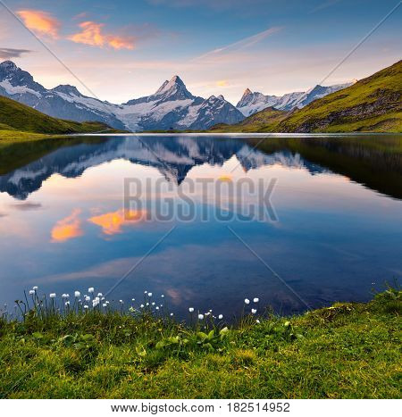 Wetterhorn peak reflected in water surface of Bachsee lake. Colorful summer sunrise in Bernese Oberland Alps Grindelwald location Innertkirchen Switzerland Europe.