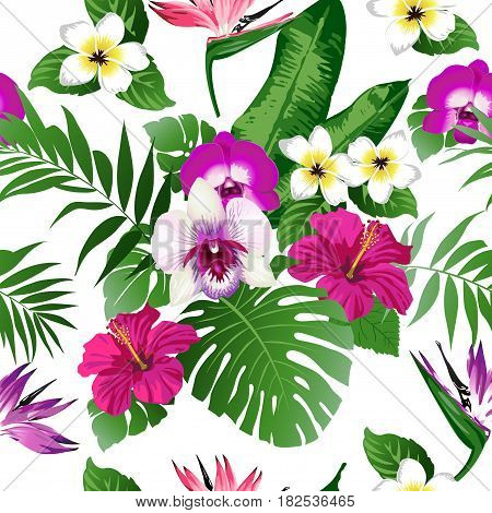 Tropical flowers and leaves on background. Seamless. Vector.