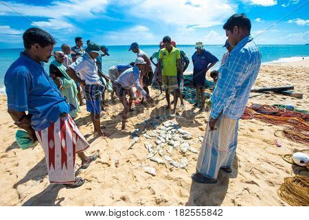 SRI LANKA - Mach 23: Local fishermen pull a fishing net from Indian Ocean on Mach 23, 2017 in Kosgoda, Sri Lanka. Fishing in Sri Lanka is the way they earn their living.