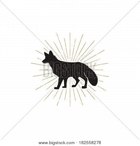 Hand drawn Fox Silhouette illustration. Vintage Black fox with sunbursts isolated on white background. Good for tee shirt, clothing prints, mugs, travel pennant designs. Stock vector