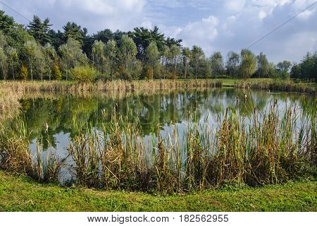 Grugnotorto park (Brianza Lombardy Italy): the little lake at fall